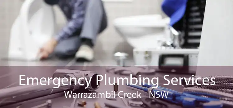 Emergency Plumbing Services Warrazambil Creek - NSW