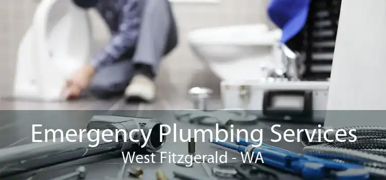 Emergency Plumbing Services West Fitzgerald - WA