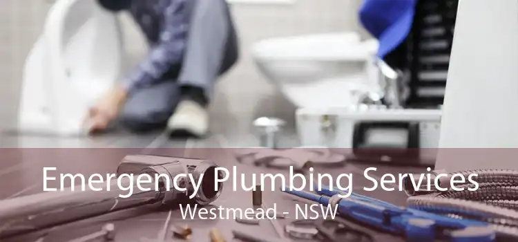 Emergency Plumbing Services Westmead - NSW