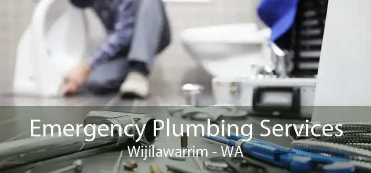 Emergency Plumbing Services Wijilawarrim - WA