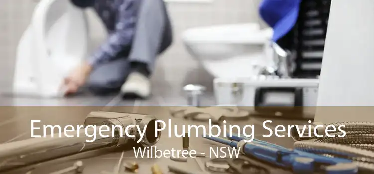 Emergency Plumbing Services Wilbetree - NSW