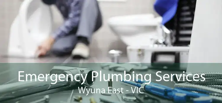 Emergency Plumbing Services Wyuna East - VIC