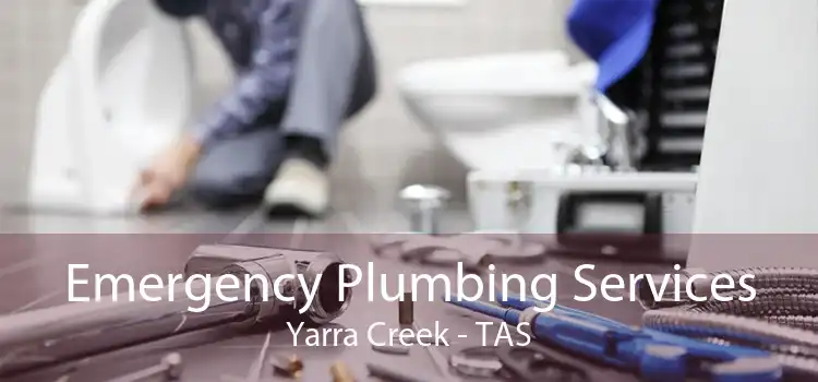 Emergency Plumbing Services Yarra Creek - TAS