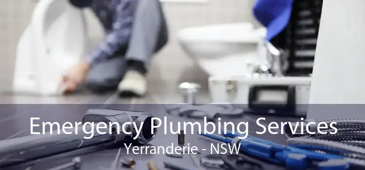 Emergency Plumbing Services Yerranderie - NSW