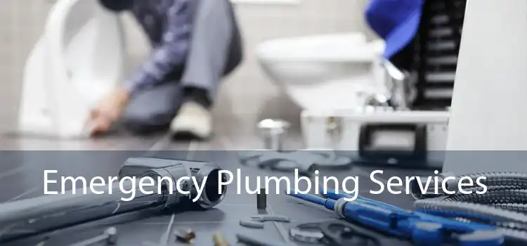 Emergency Plumbing Services 