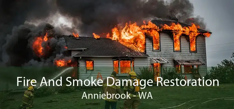 Fire And Smoke Damage Restoration Anniebrook - WA