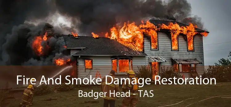 Fire And Smoke Damage Restoration Badger Head - TAS