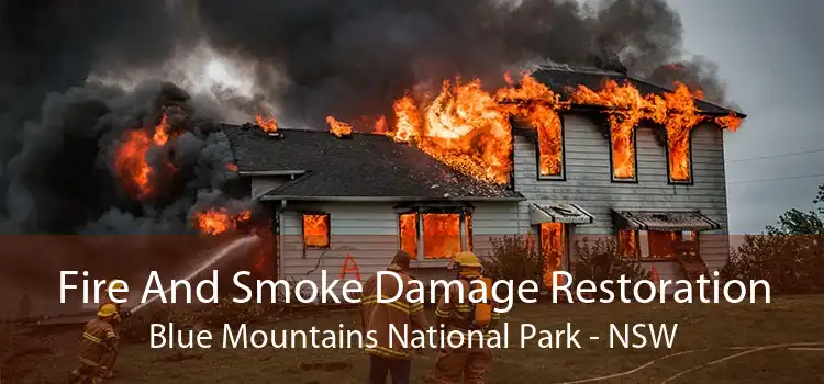 Fire And Smoke Damage Restoration Blue Mountains National Park - NSW