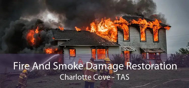 Fire And Smoke Damage Restoration Charlotte Cove - TAS