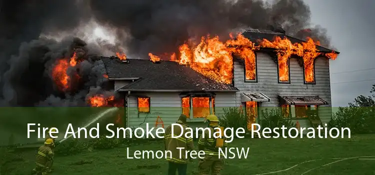 Fire And Smoke Damage Restoration Lemon Tree - NSW