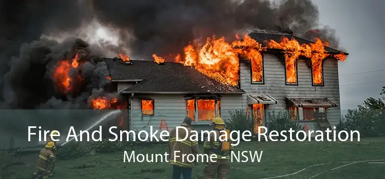 Fire And Smoke Damage Restoration Mount Frome - NSW