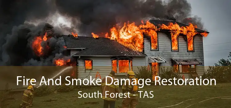 Fire And Smoke Damage Restoration South Forest - TAS