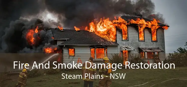 Fire And Smoke Damage Restoration Steam Plains - NSW