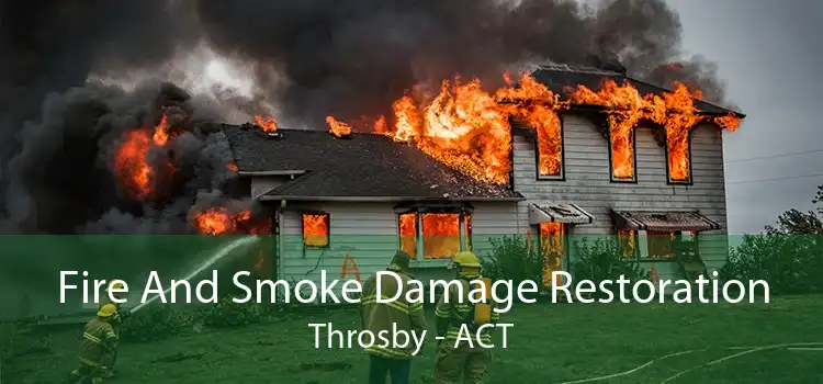Fire And Smoke Damage Restoration Throsby - ACT