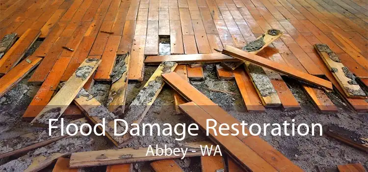 Flood Damage Restoration Abbey - WA