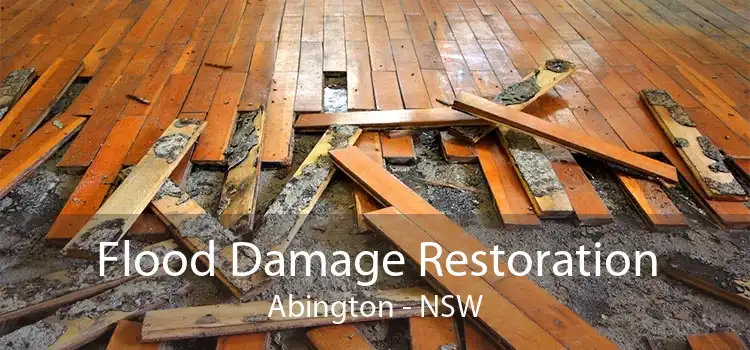 Flood Damage Restoration Abington - NSW