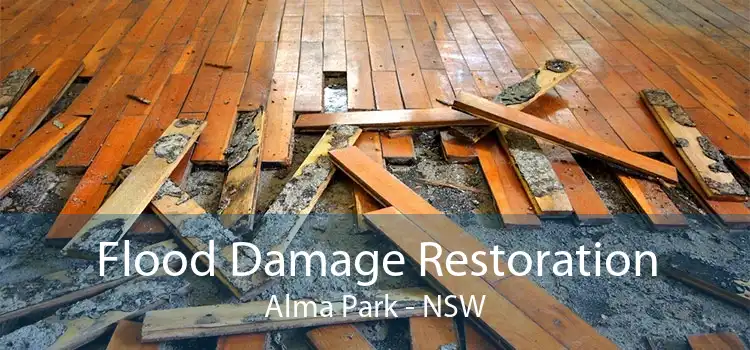 Flood Damage Restoration Alma Park - NSW