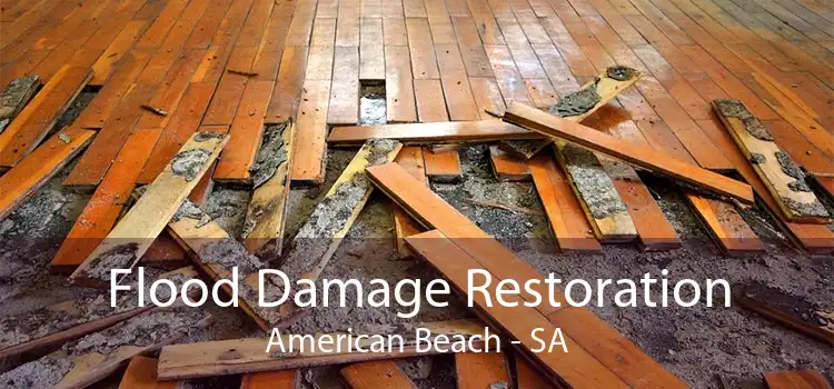 Flood Damage Restoration American Beach - SA