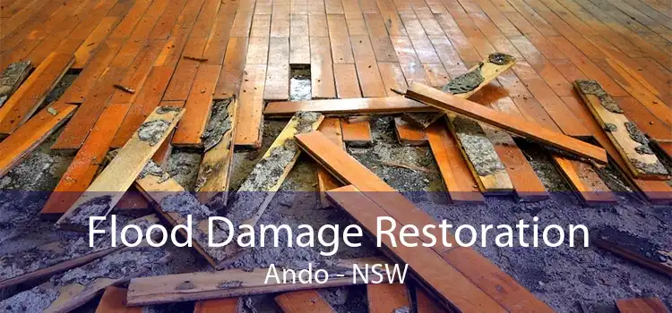 Flood Damage Restoration Ando - NSW