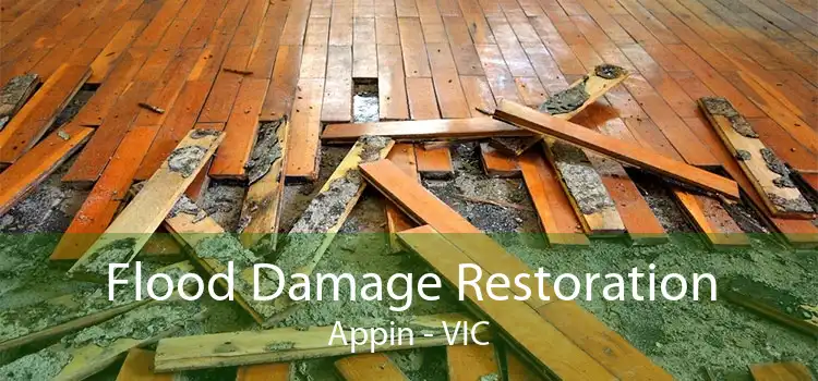 Flood Damage Restoration Appin - VIC