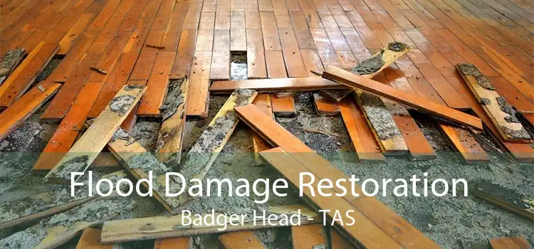 Flood Damage Restoration Badger Head - TAS