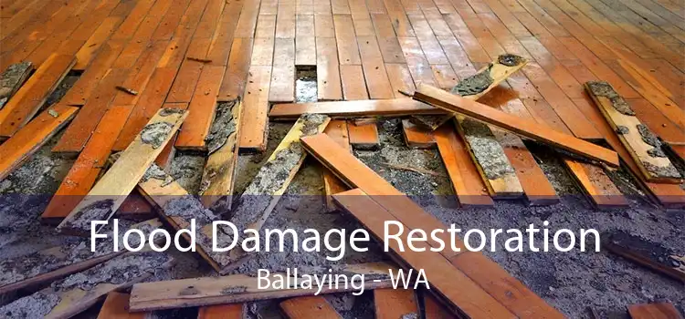 Flood Damage Restoration Ballaying - WA