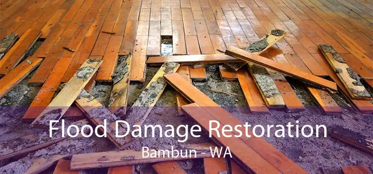 Flood Damage Restoration Bambun - WA