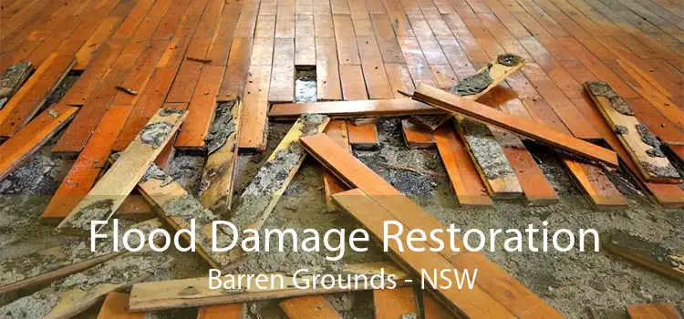 Flood Damage Restoration Barren Grounds - NSW