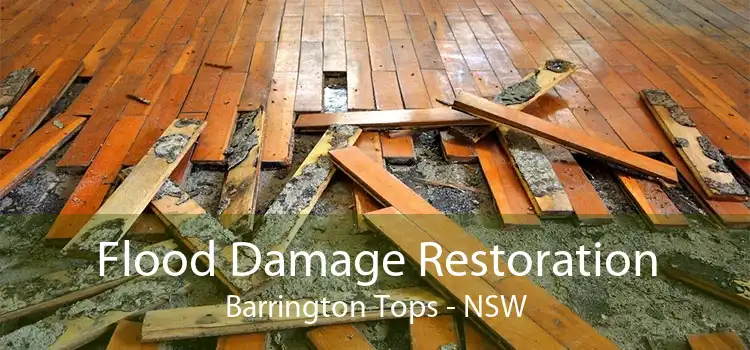 Flood Damage Restoration Barrington Tops - NSW