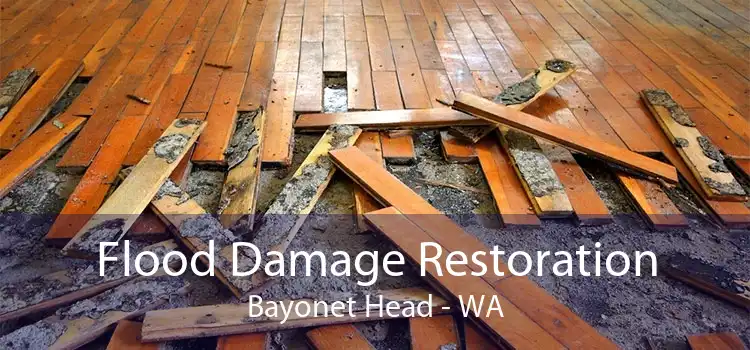Flood Damage Restoration Bayonet Head - WA