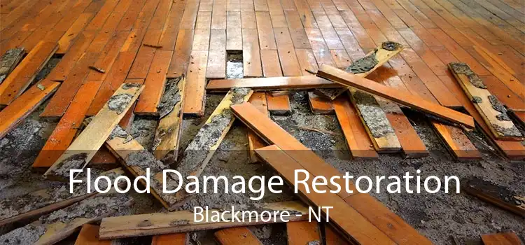 Flood Damage Restoration Blackmore - NT