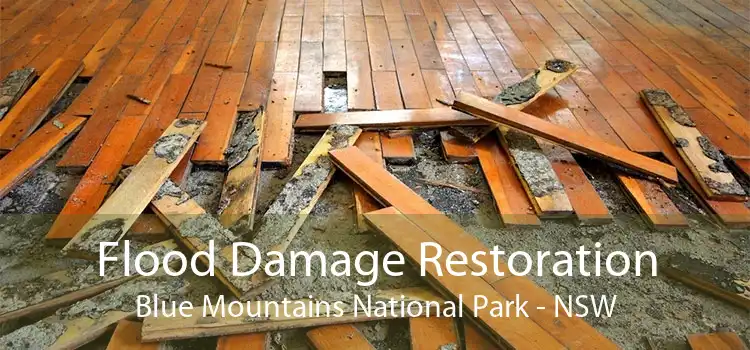 Flood Damage Restoration Blue Mountains National Park - NSW