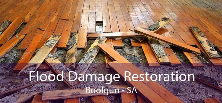 Flood Damage Restoration Boolgun - SA