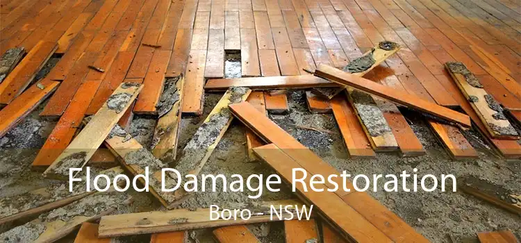 Flood Damage Restoration Boro - NSW