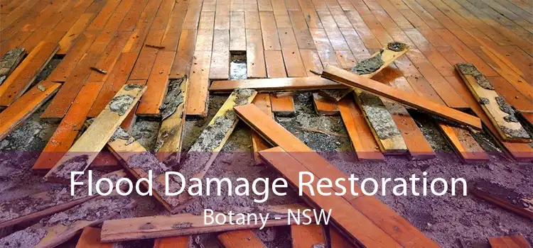 Flood Damage Restoration Botany - NSW