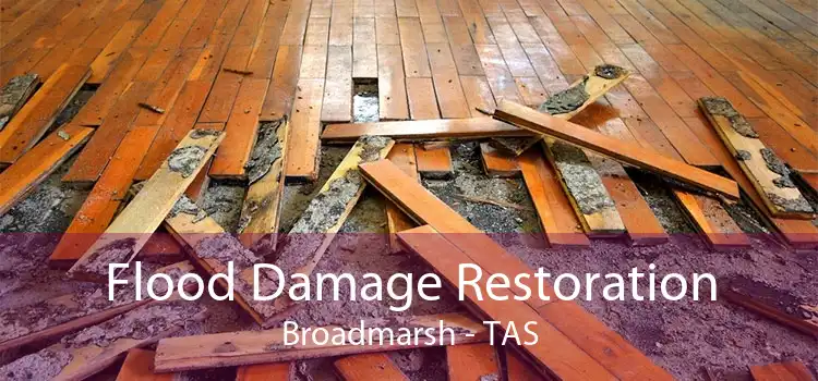 Flood Damage Restoration Broadmarsh - TAS