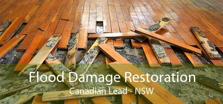 Flood Damage Restoration Canadian Lead - NSW