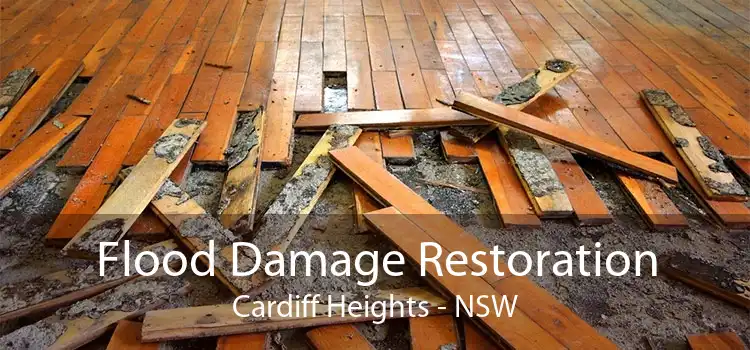 Flood Damage Restoration Cardiff Heights - NSW