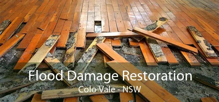 Flood Damage Restoration Colo Vale - NSW