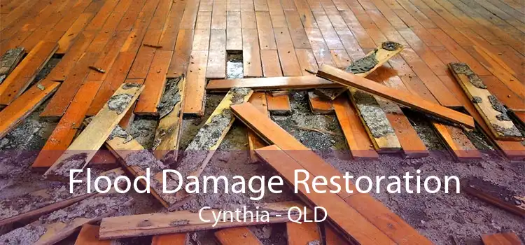 Flood Damage Restoration Cynthia - QLD