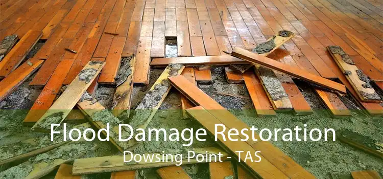 Flood Damage Restoration Dowsing Point - TAS
