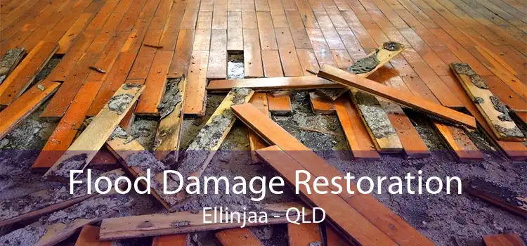Flood Damage Restoration Ellinjaa - QLD