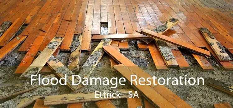 Flood Damage Restoration Ettrick - SA