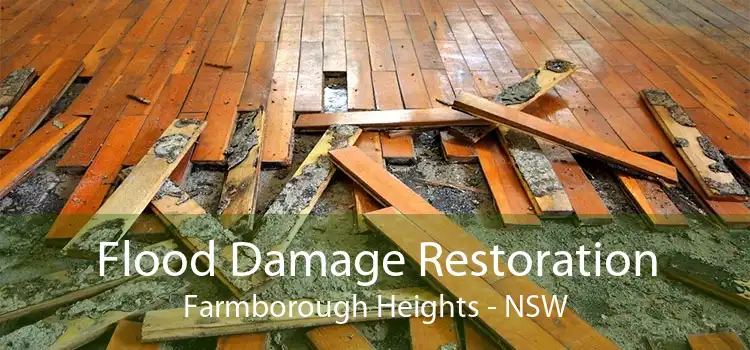 Flood Damage Restoration Farmborough Heights - NSW