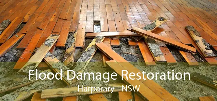 Flood Damage Restoration Harparary - NSW