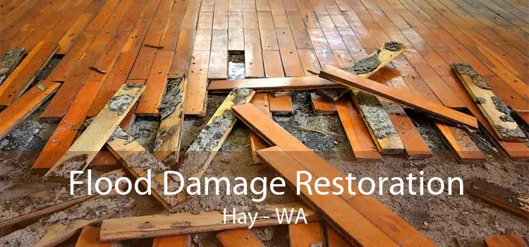 Flood Damage Restoration Hay - WA