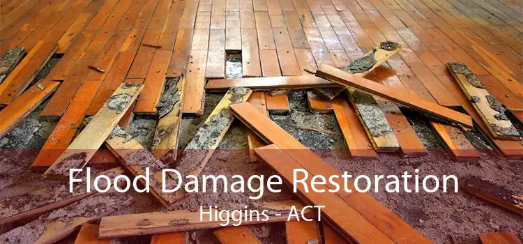 Flood Damage Restoration Higgins - ACT