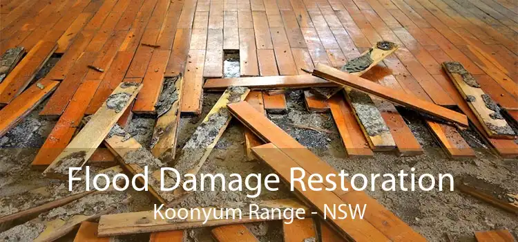 Flood Damage Restoration Koonyum Range - NSW