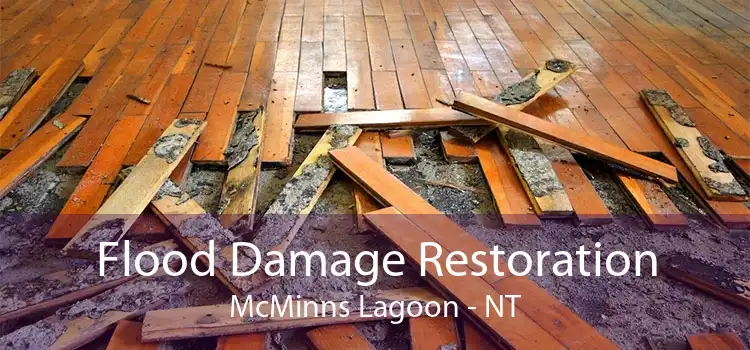 Flood Damage Restoration McMinns Lagoon - NT