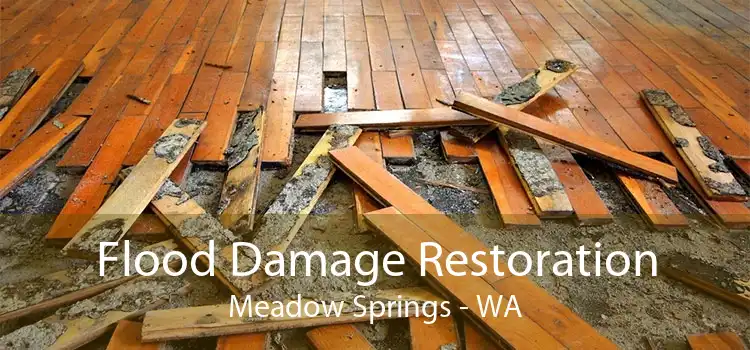 Flood Damage Restoration Meadow Springs - WA
